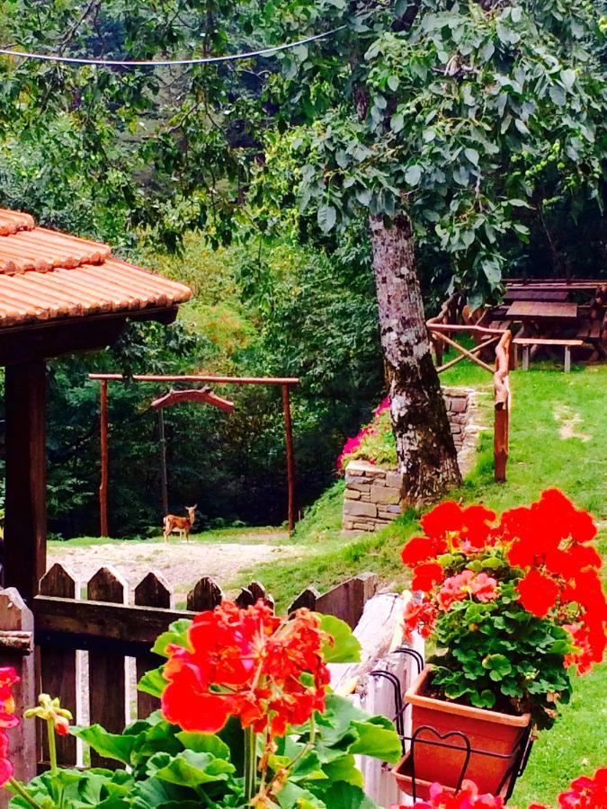 B&B La Presa Molino del Pallone Exterior photo